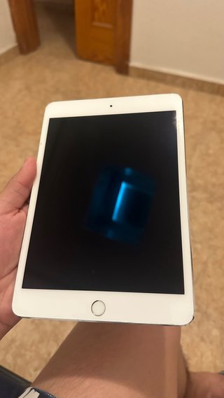 iPad Mini 4 para despiece