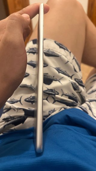 iPad Mini 4 para despiece