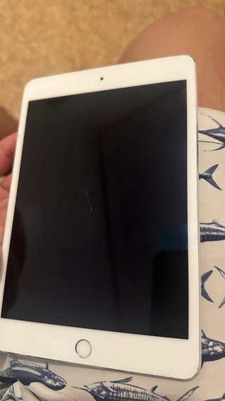 iPad Mini 4 para despiece