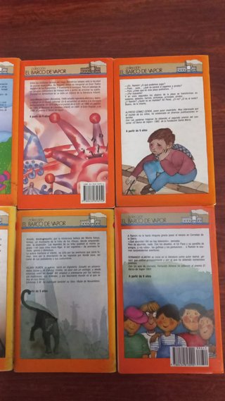 lote para 9 años de libros SM