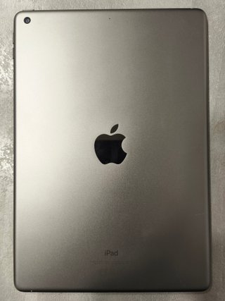 iPad 9ª Gen 256GB WiFi Gris Espacial