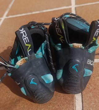 Boreal Lynx T37 pies de gato
