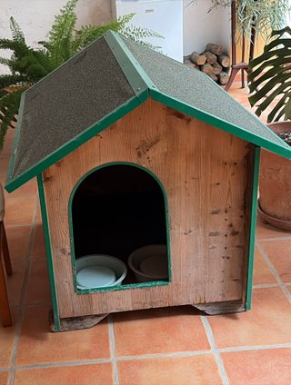 Caseta perro grande madera y verde