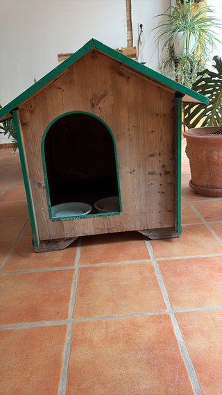 Caseta perro grande madera y verde