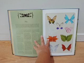 Libro  Inventario de los cuentos de hadas