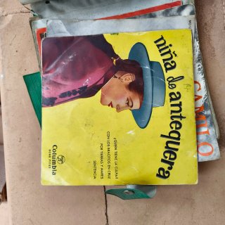 Lote 30 Vinilos Latinos Variados