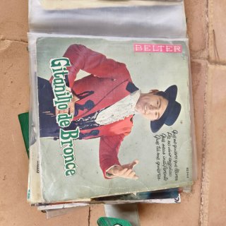 Lote 30 Vinilos Latinos Variados