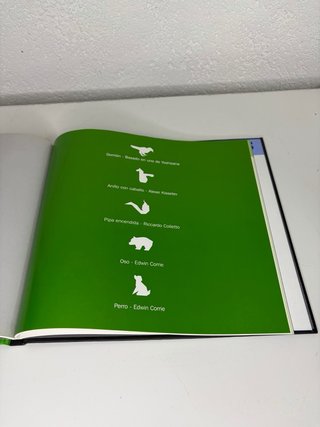 Libro de Papiroflexia
