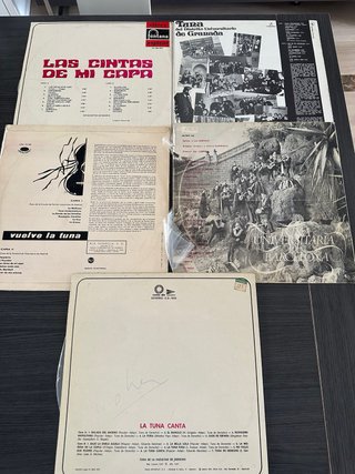 Lote 17 Vinilos varios generos