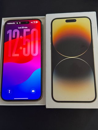 iPhone 14 Pro Max Oro