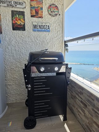 Barbacoa Eléctrica Negra