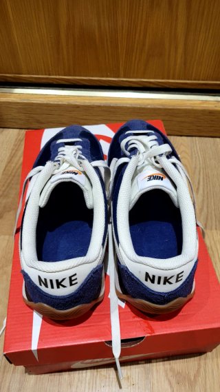 Zapatillas Nike Azul y Blanco
