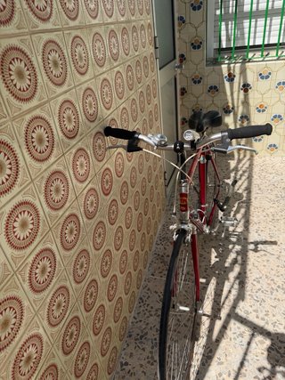 Bicicleta de carretera clásica ZEUS Aluminio Rojo