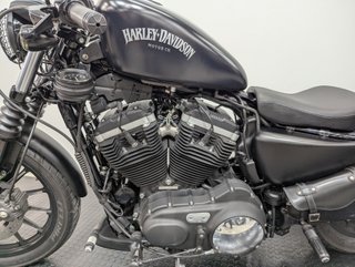 Harley Davidson 883 Iron