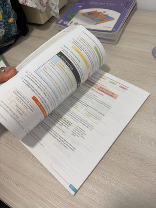 Lengua castellana y literatura