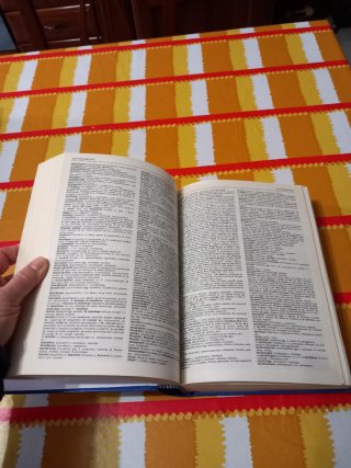 Dizionario inglese-italiano De Agostini