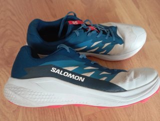 Zapatillas Salomon Alphaglide Azul/Blanco