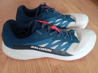 Zapatillas Salomon Alphaglide Azul/Blanco