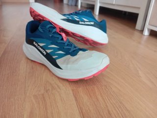 Zapatillas Salomon Alphaglide Azul/Blanco