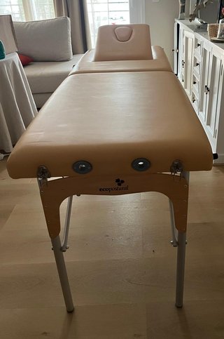 Camilla Ecopostural Profesional Plegable