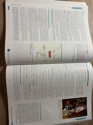 HISTORIA DE LA FILOSOFIA (LC+QA-DIGITAL) (DUAL)