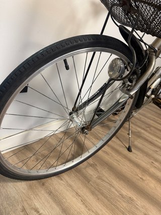 Bicicleta Paseo Oiartzun