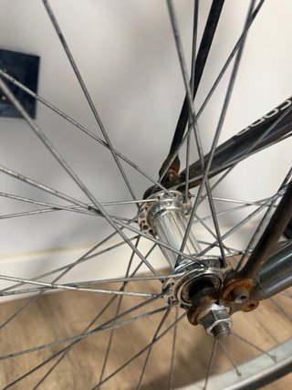 Bicicleta Paseo Oiartzun