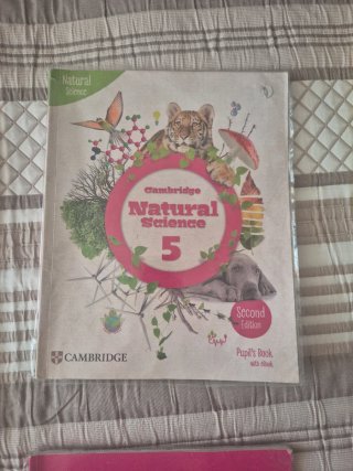 Libros 5 primaria
