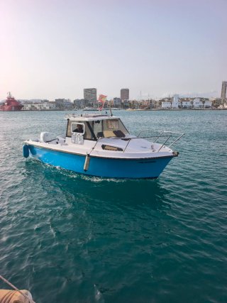 Barco Ocqueteau