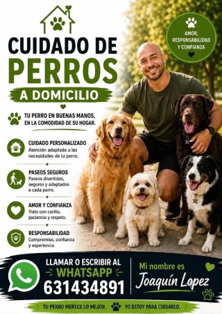 Cuidado y Paseo de Perros a Domicilio