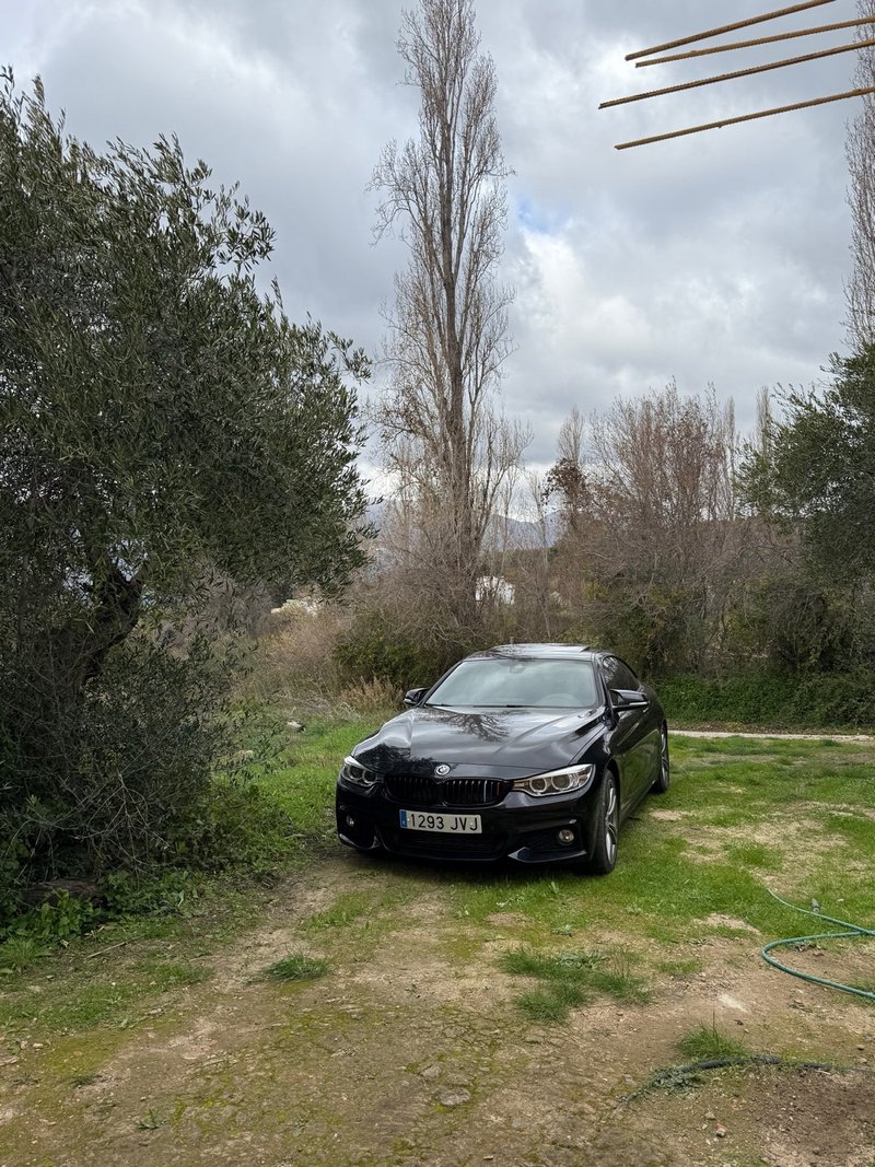 BMW Serie 4 2016 - foto 1