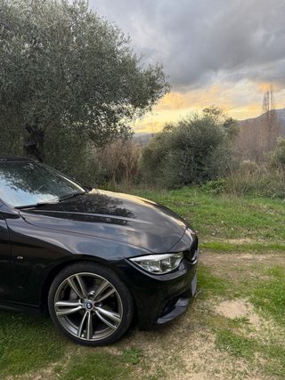 BMW Serie 4 2016