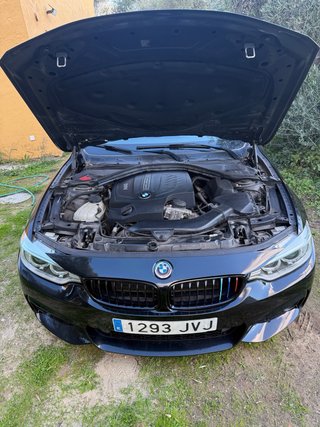 BMW Serie 4 2016