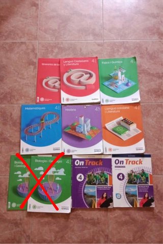 Lote libros 4° ESO Institut Collblanc