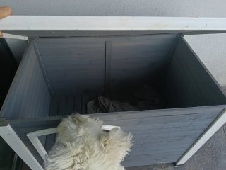Caseta para perro gris y blanco