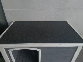 Caseta para perro gris y blanco
