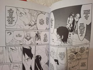 AKAME GA KILL ZERO tomo 2
