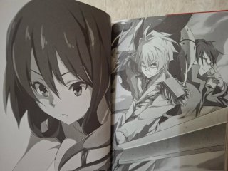AKAME GA KILL ZERO tomo 2