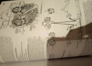 Tomo de anatomía de wynn kapit