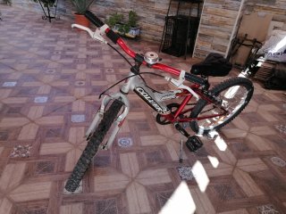 Bicicleta infantil plateada y roja