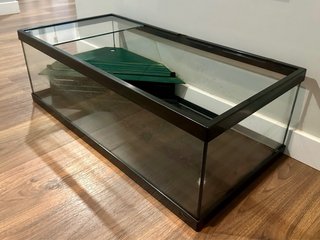 Tortuguera cristal con zona seca