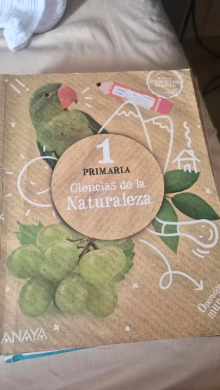 Lote libros EMAT, primero de primaria