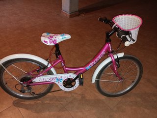 Conjunto Bicicletas niña rosa 3-11 años
