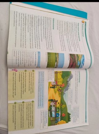 Ciencias sociales, 3 Primaria