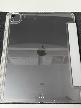 iPad Pro 12.9 256GB 3ª Gen