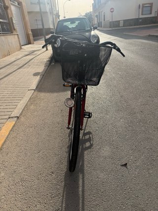 Bicicleta de paseo