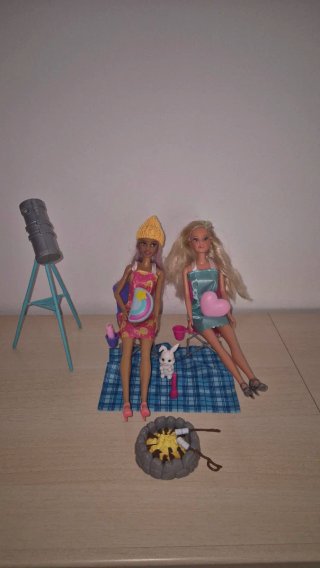 Lote barbie