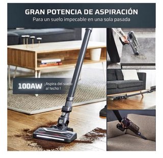 Rowenta X-Pert 6.60 Aspiradora Escoba