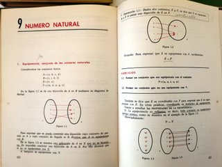 Teoría y didáctica de la matemática actual