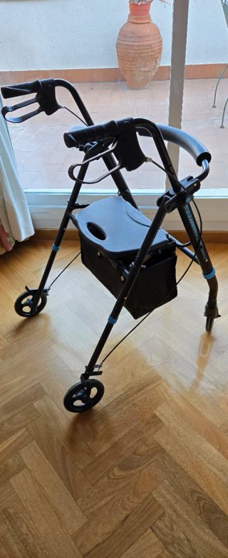 Silla de ruedas con cinturon + andador